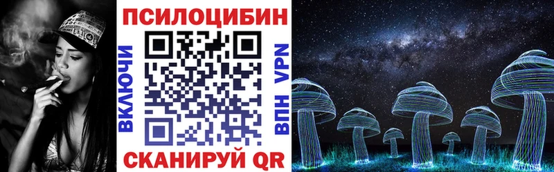 Псилоцибиновые грибы Cubensis  Урай 